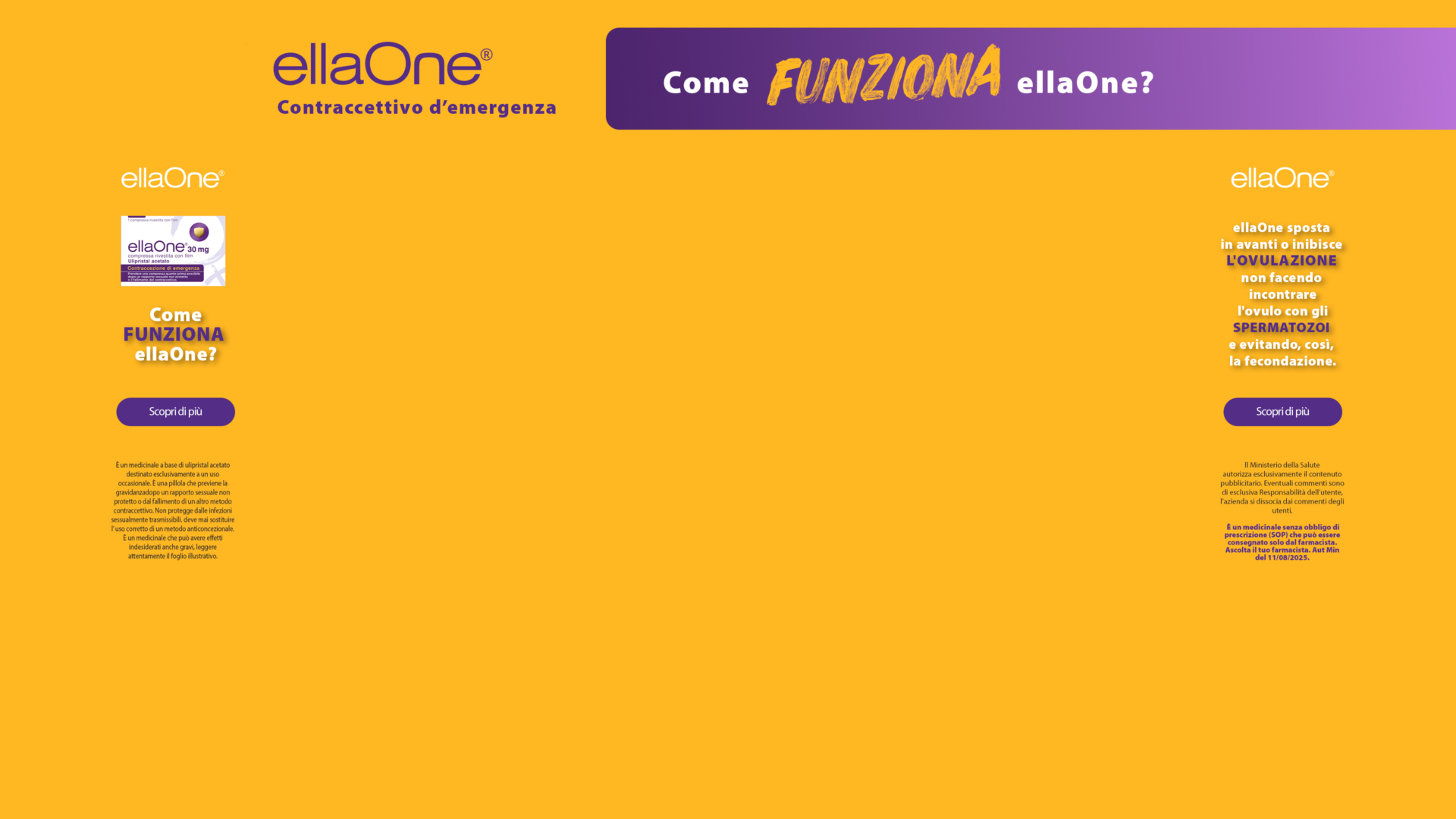 Ella One Mettiche Skin Desktop rev