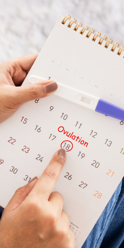 Quando si verifica ovulazione