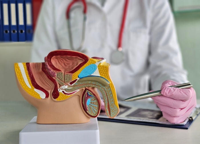 Costi vasectomia italia